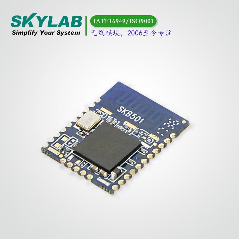 供应SKYLAB蓝牙5.0BLE模块SKB501