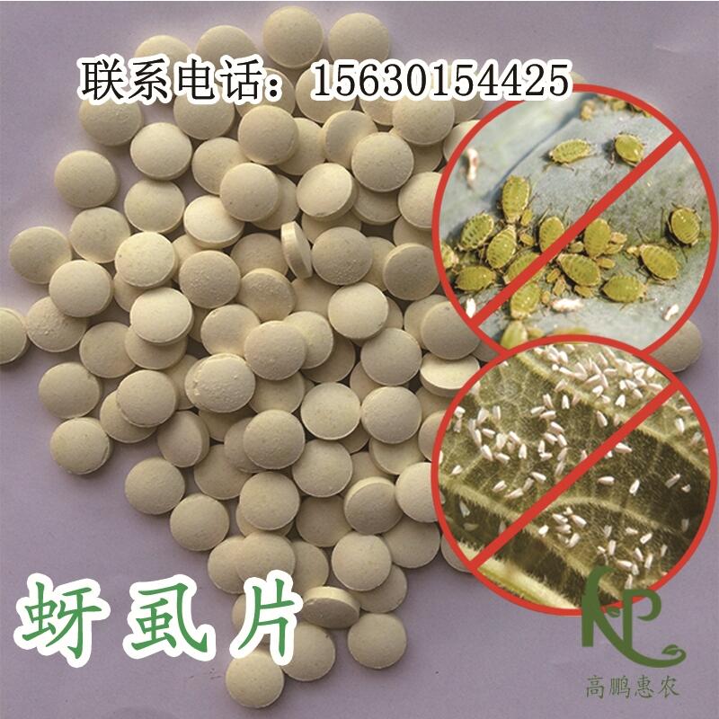 2000片/瓶烟草片专用一株一片专抗蚜虫