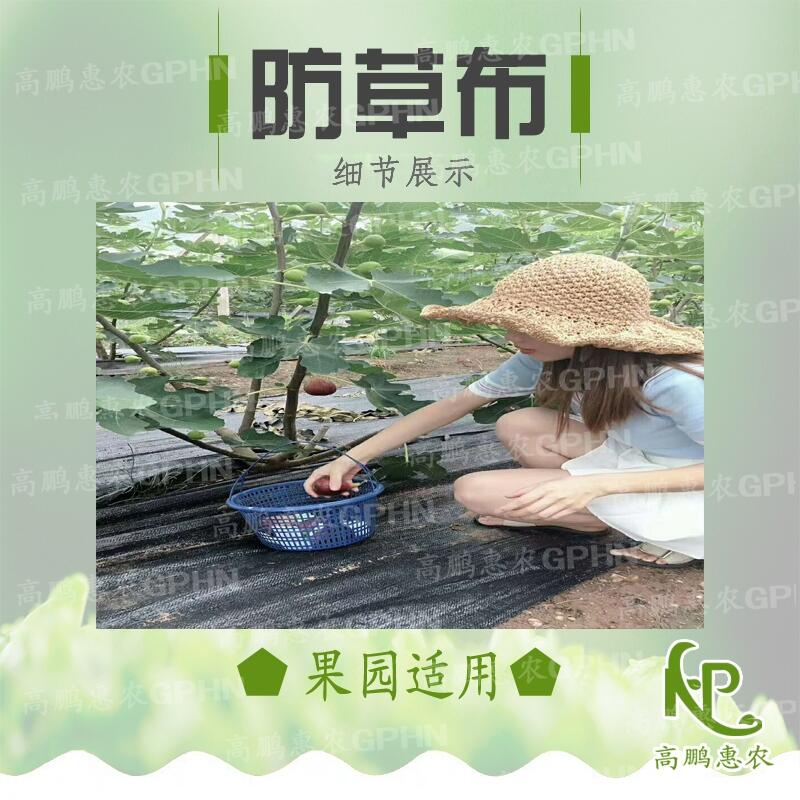 樱桃园除草地布批发