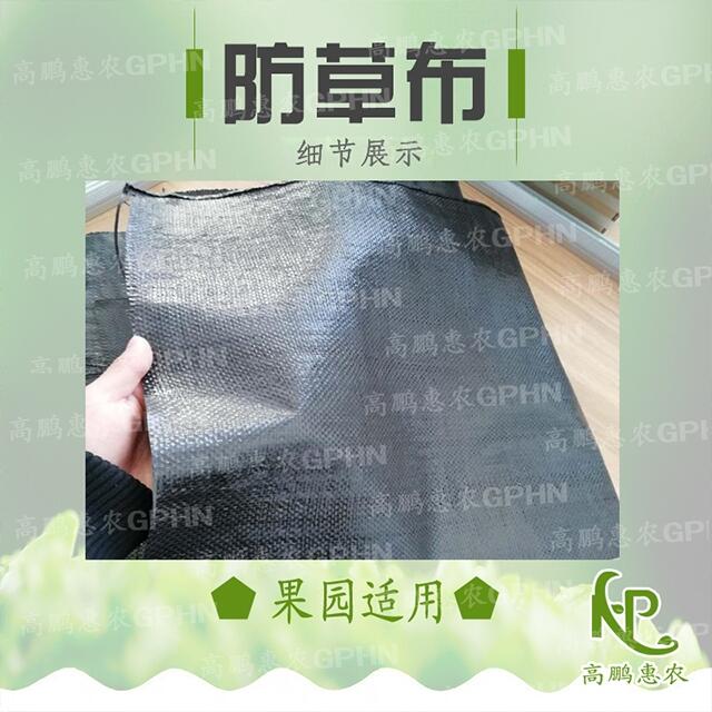 柑橘防草布批发