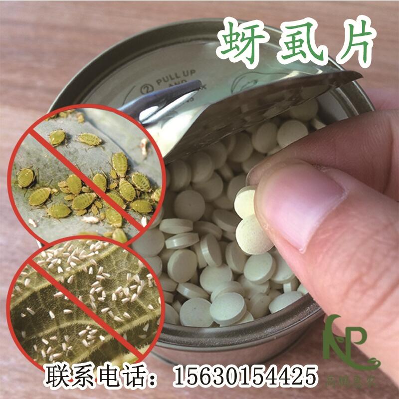 2000片/瓶防治株椒蚜虫一棵一片效果好