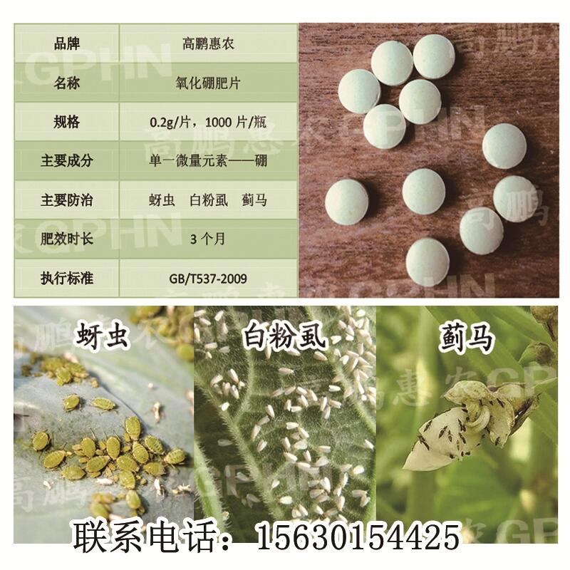 1000片/瓶高抗蚜虫一棵用一片价格