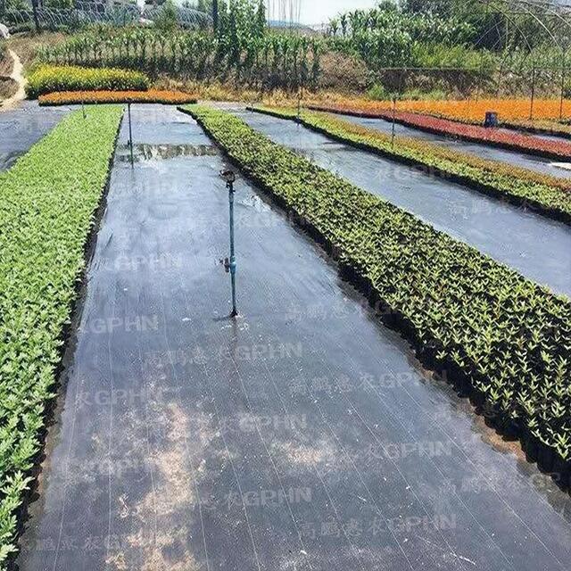 茶园除草地布使用效果好