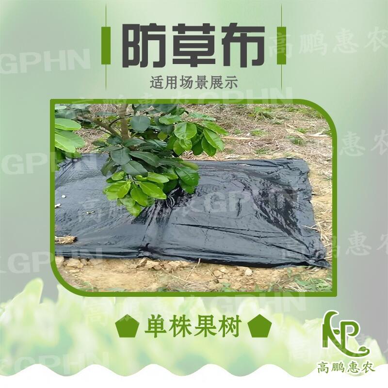 樱桃园防草地布使用效果好