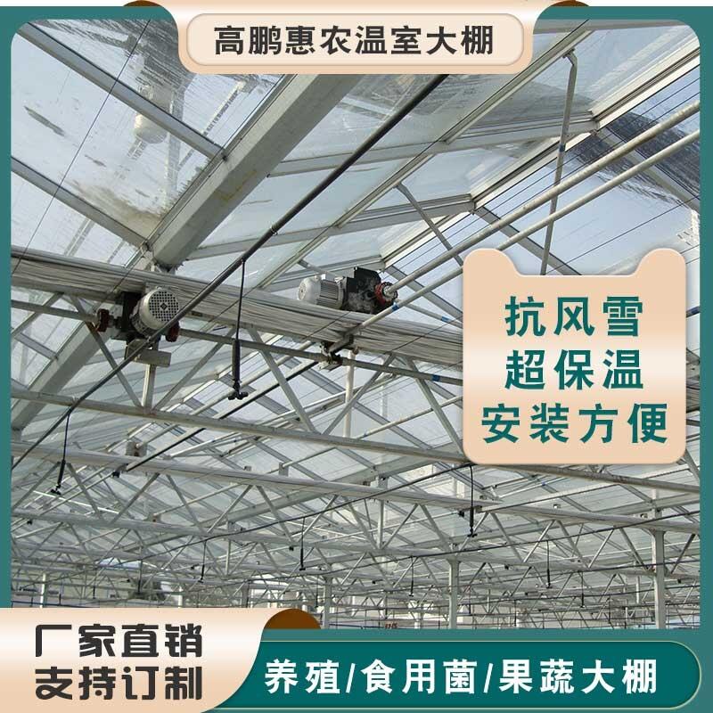 徐州贾汪区西红柿种植棚建设