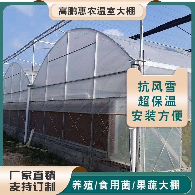 阜阳界首市西红柿种植棚骨架棚膜配件