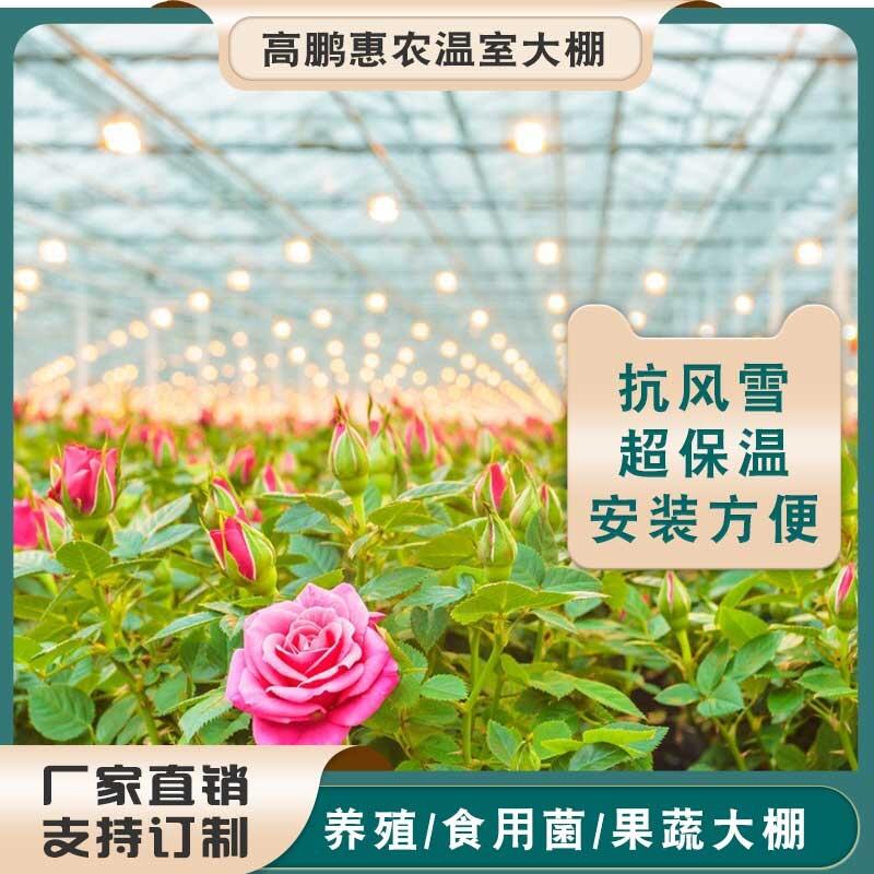 赣州安远县火龙果大棚镀锌管价格