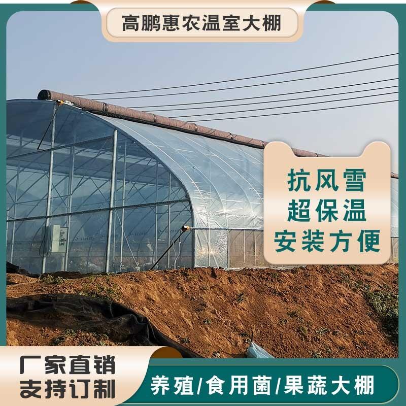 成都新津县油菜大棚镀锌管价格