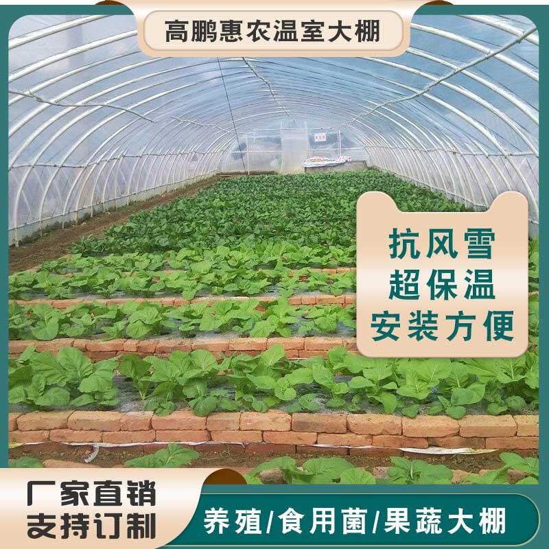 荆门京山县智能温室工程