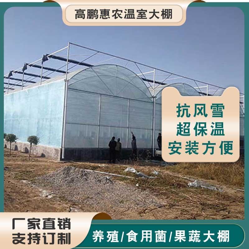 南京秦淮区养蚕温室大棚工程