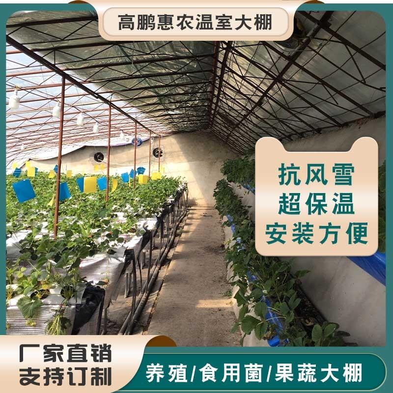 临沂兰陵县养牛大棚牛棚质量保证