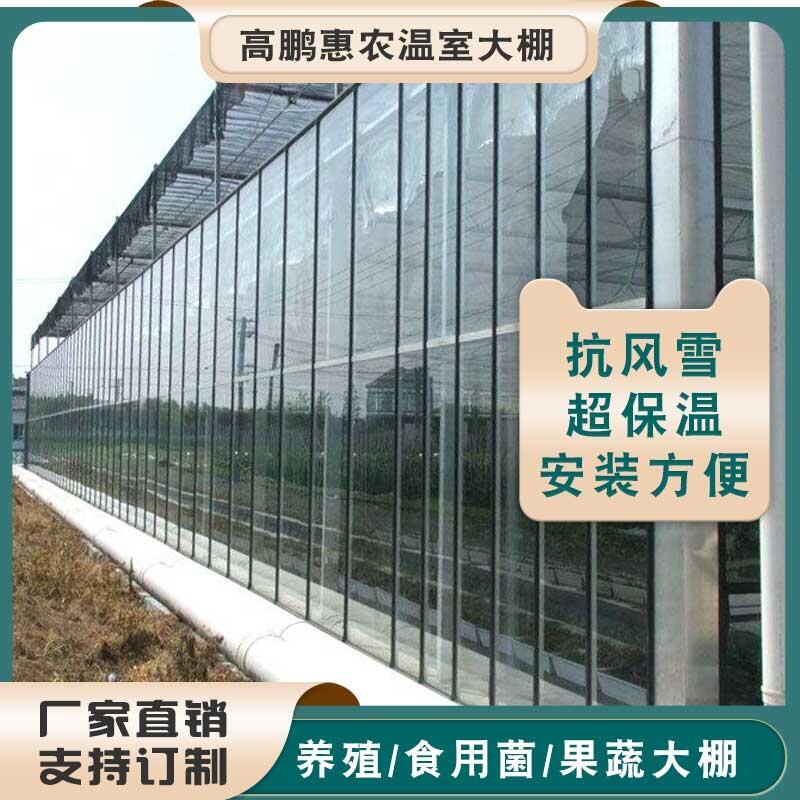 景德镇珠山区樱桃种植大棚搭建