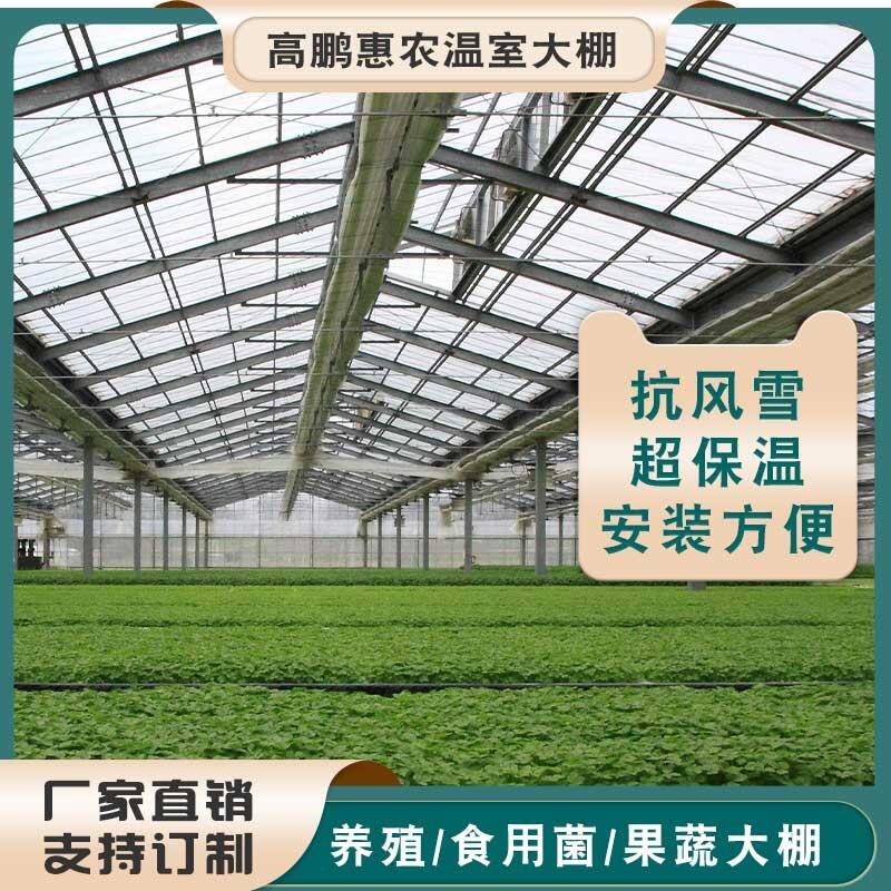 怀化会同县油菜大棚使用时间长