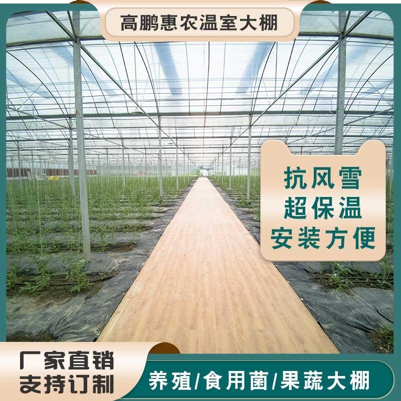 成都龙泉驿区植物观赏温室量身设计