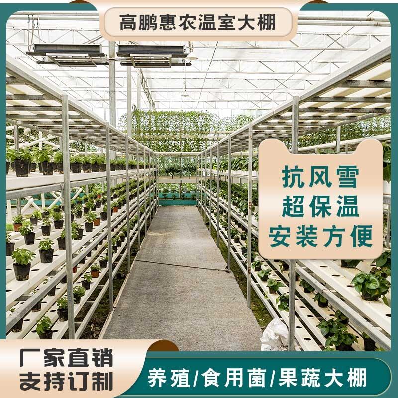 泉州洛江区育苗温室大棚一亩成本