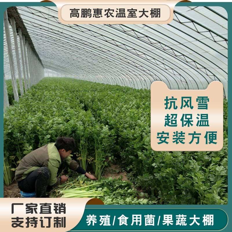 怀化鹤城区黑鱼养殖棚保温材料