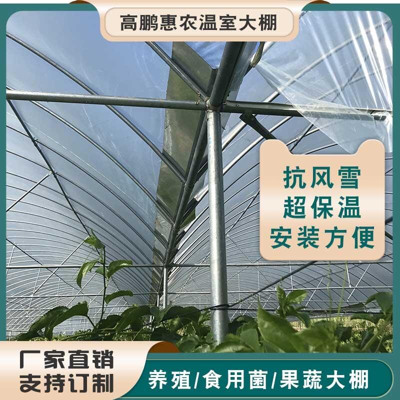 马鞍山博望区蔬菜大棚厂家