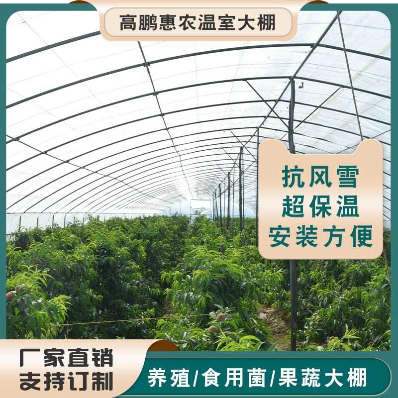 徐州铜山区鸭舍大棚使用时间长