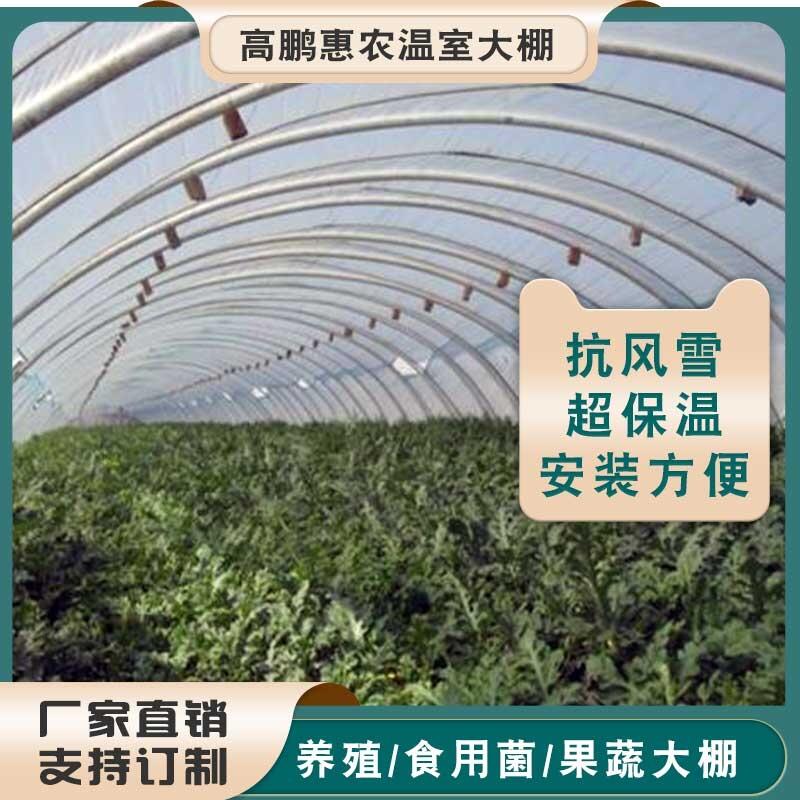 厦门余江区多肉种植大棚建设