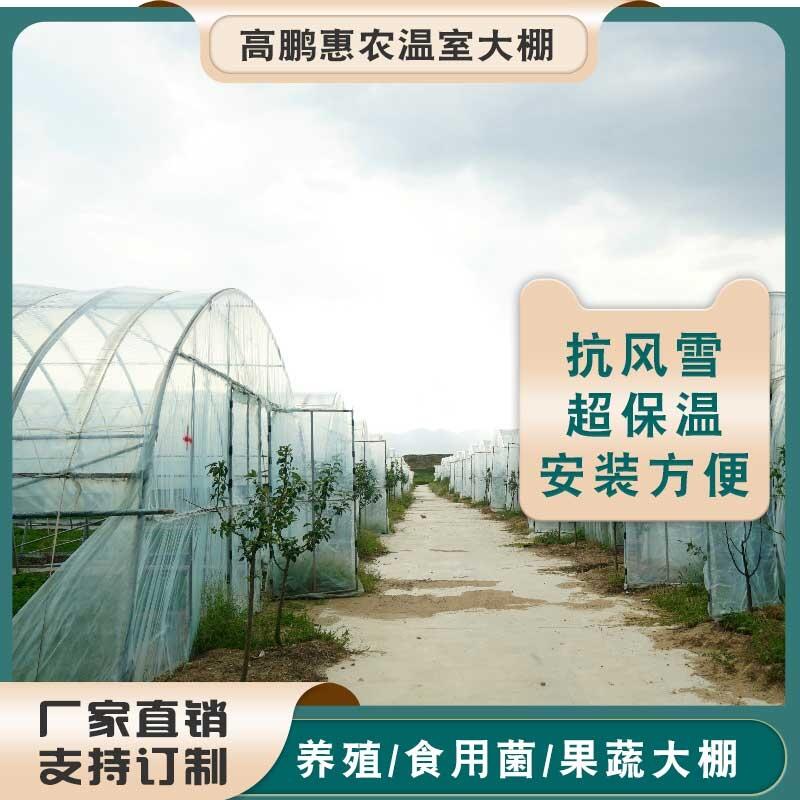 开封鼓楼区黑鲷水产薄膜温室