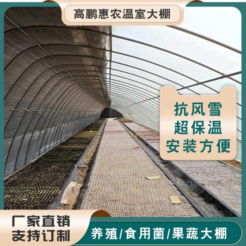 郑州新密市真鲷水产薄膜大棚