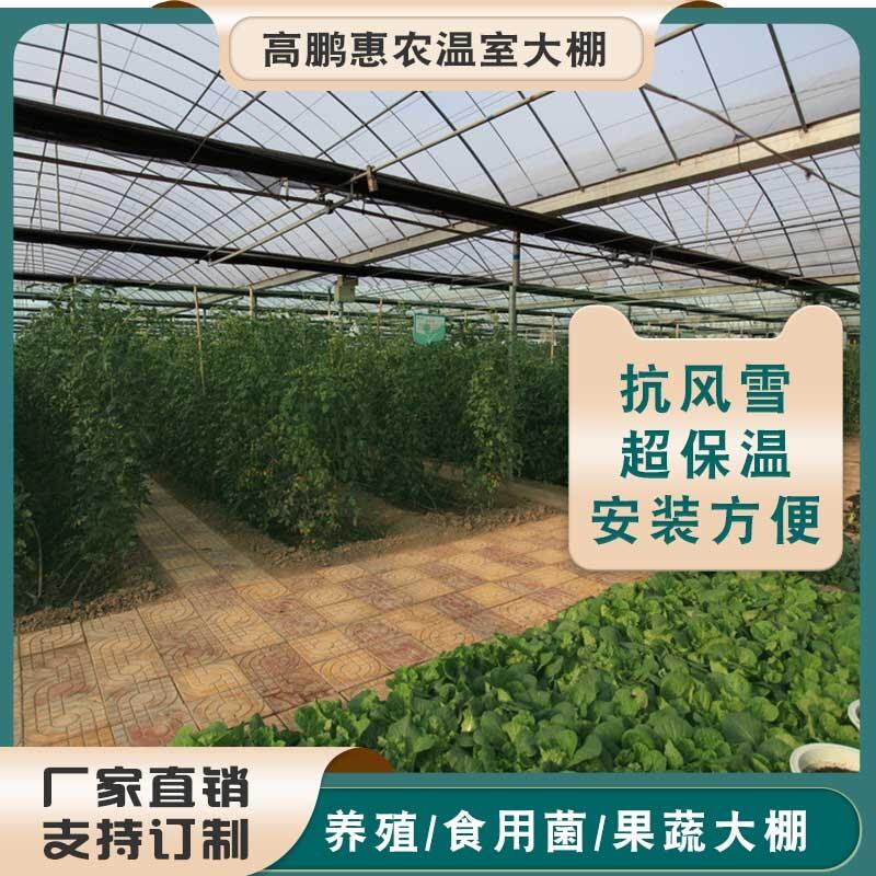 开封鼓楼区美国红鱼水产薄膜大棚