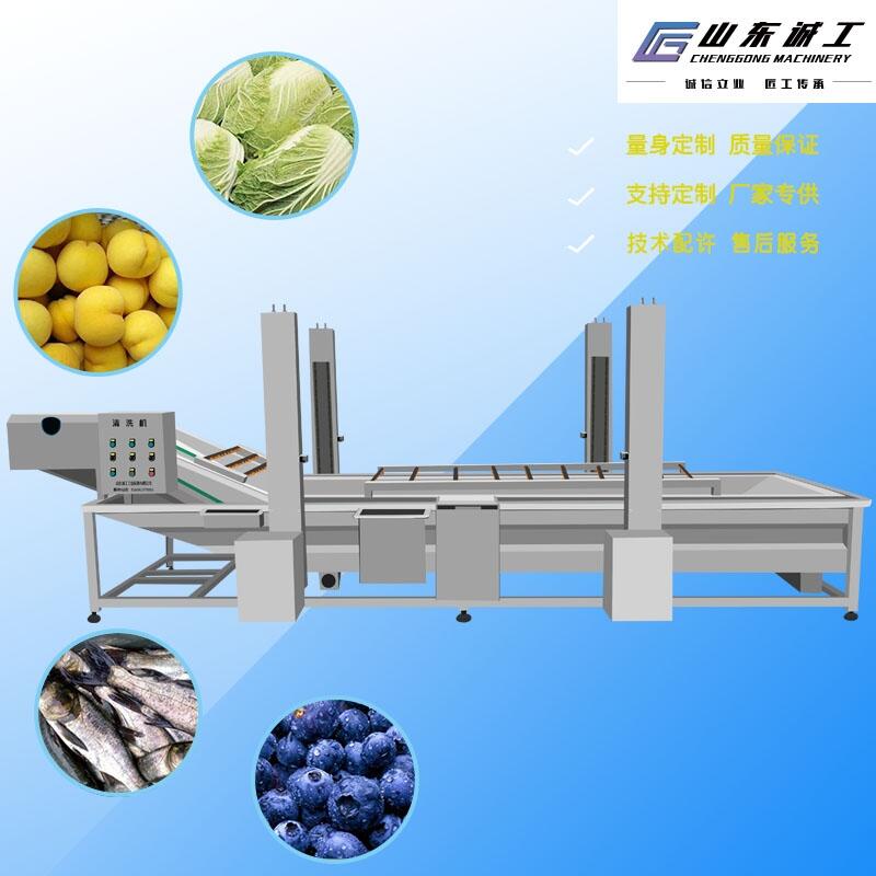 果蔬清洗機(jī)不銹鋼氣泡清洗機(jī)果蔬噴淋式洗菜機(jī)大棗辣椒清洗機(jī)設(shè)備