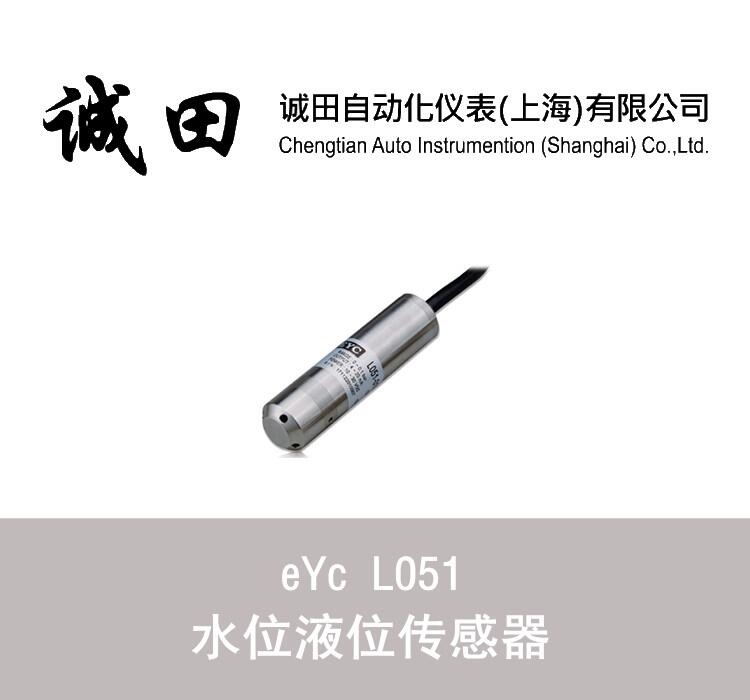 臺灣eYc 投入式沉水式水位液位變送器傳感器探頭 L051