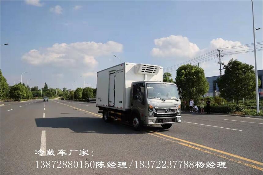 泰安市帶多功能方向盤微型冷鏈車 