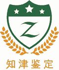 重慶知津科技有限公司Logo