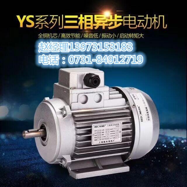 品質(zhì)卓越,優(yōu)質(zhì)電機， 認準上海德東電機長沙辦大品牌