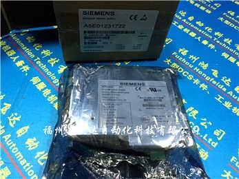 SIEMENS 6DD1681-0FG0现货