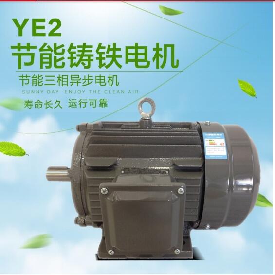 供應(yīng)上海德東YE2-112M-4  4KW 高效節(jié)能電機 運行可靠