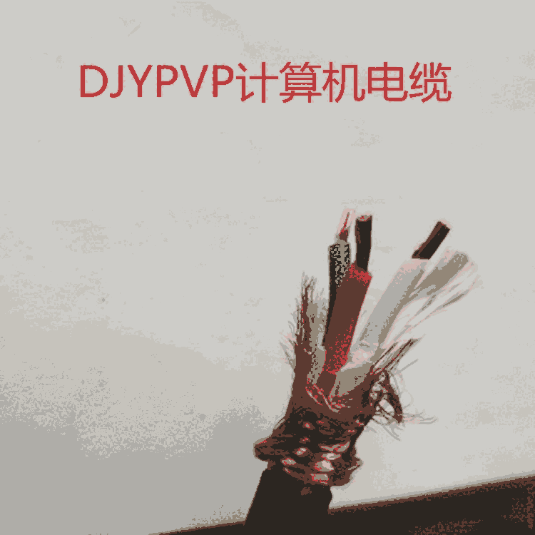 ZR-DJYJVP阻燃計(jì)算機(jī)電纜