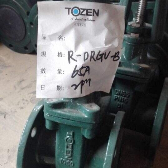 铸铁闸阀​R-DRGV-B DN200弹性暗杆闸阀TOZEN滔辰软密封闸阀正品