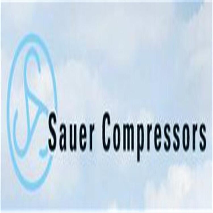 Sauer Compressors墊片064049