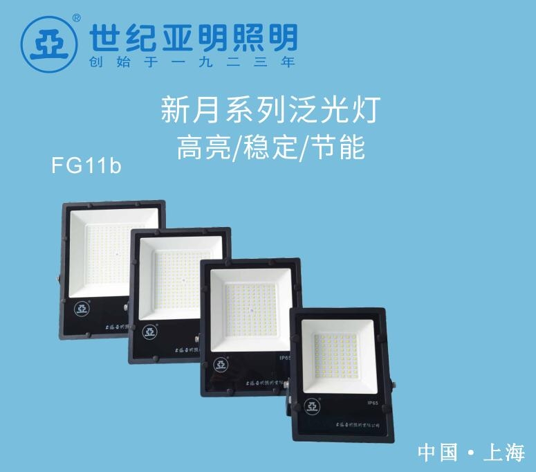 上海亚明100W LED泛光灯 新月系列FG11b LED投光灯现货供应