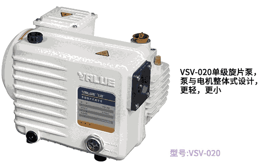 飞越真空泵电动VSV系列小型单级泵vsv-20/40/100工业级抽气真空泵