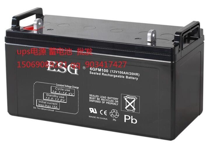 ESG機(jī)房免維護(hù)蓄電池6GFM80 12V80AH/10HR