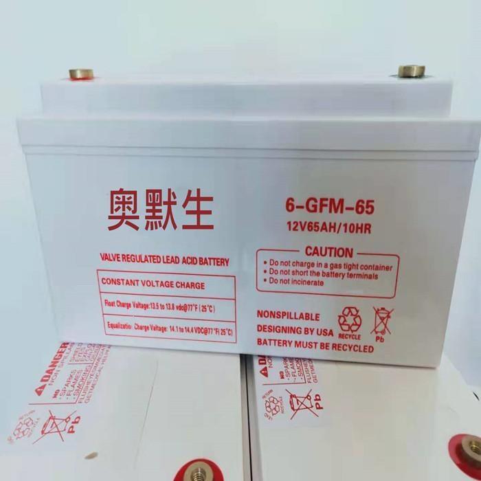 濮陽奧默生ups電源蓄電池6-GFM-65產品參數圖片