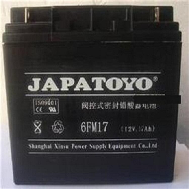 东洋机房ups电源蓄电池6GFM24 12V24AH消防直流屏配套 