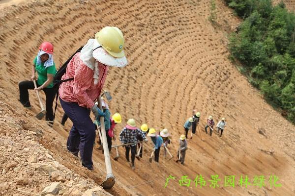 高速公路邊坡綠化施工方案