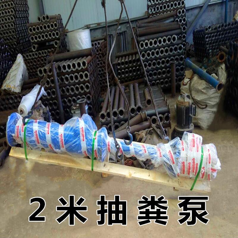 100CFLCF強(qiáng)動(dòng)力抽糞泵干濕兩用濃漿抽糞泵漢濱分離機(jī)配套泵