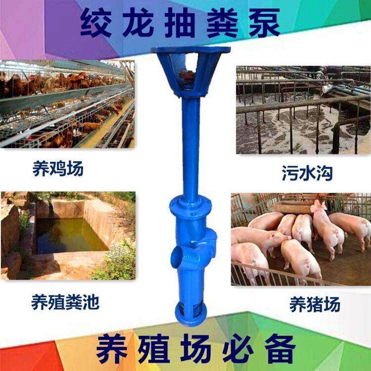 加長(zhǎng)液下CF強(qiáng)動(dòng)力抽糞泵實(shí)力廠家分離機(jī)抽糞泵子洲分離機(jī)配套泵