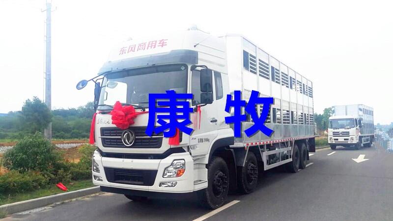 东风9米6猪仔（畜禽）运输车