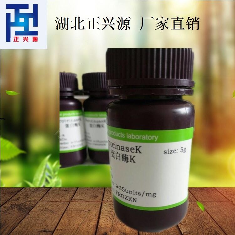 蛋白酶K酶活高厂家质量好 湖北现货供应 蛋白酶K价格