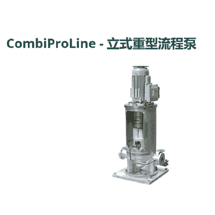 Johnson Pump立式重型流程泵CombiProLine