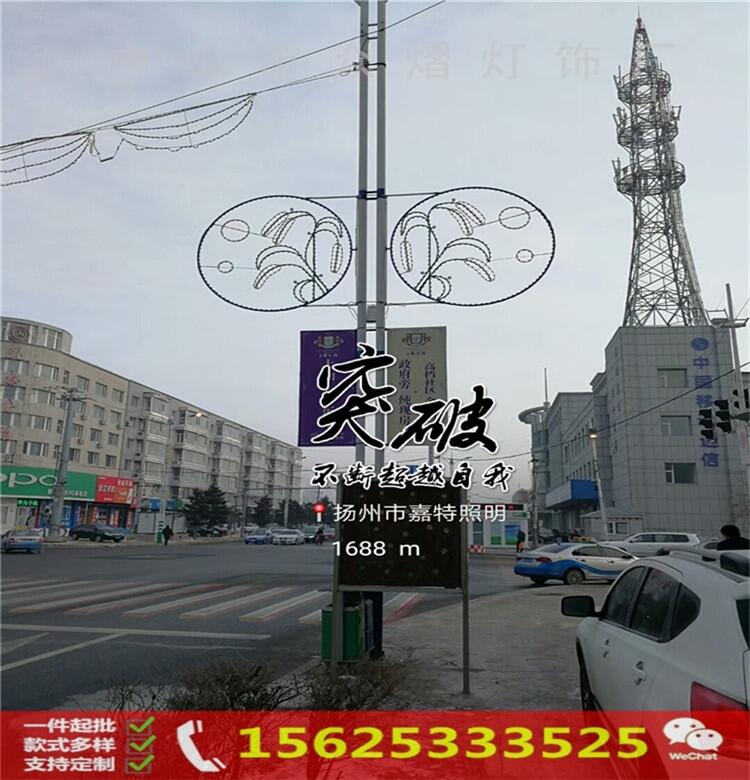 公园LED灯杆装饰灯 LED路灯杆挂件灯 双向发光造型灯