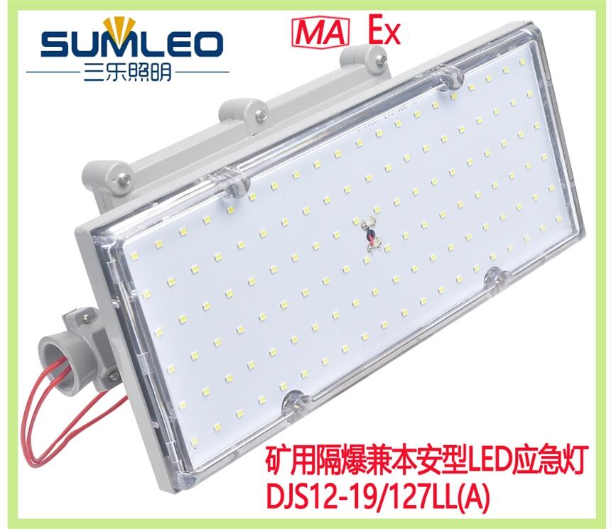 矿用隔爆兼本安型应急灯DJS12-19/127LL(A)