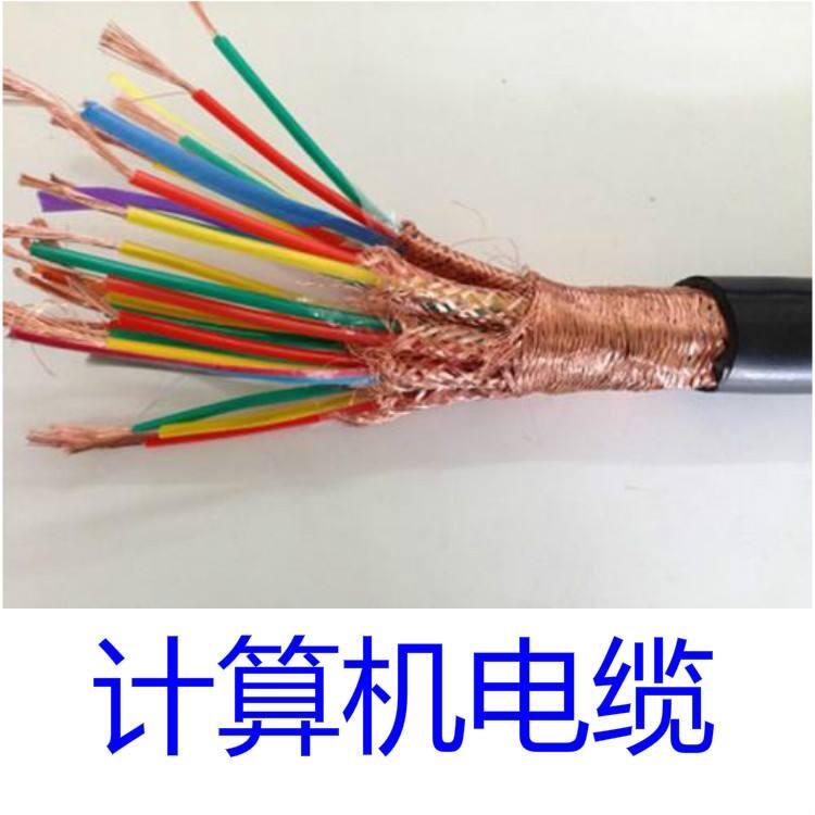 藍(lán)色護(hù)套計(jì)算機(jī)電纜DJYPV屏蔽信號(hào)電纜廠家國(guó)標(biāo)價(jià)格